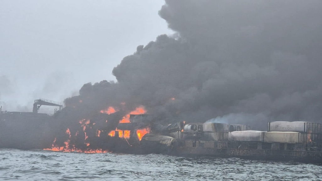 De natuur is in ieder geval de grote verliezer van de scheepsramp