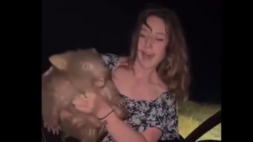 Influencer vlucht uit Australië na poseren met wombat: 'Ging niet om de likes'