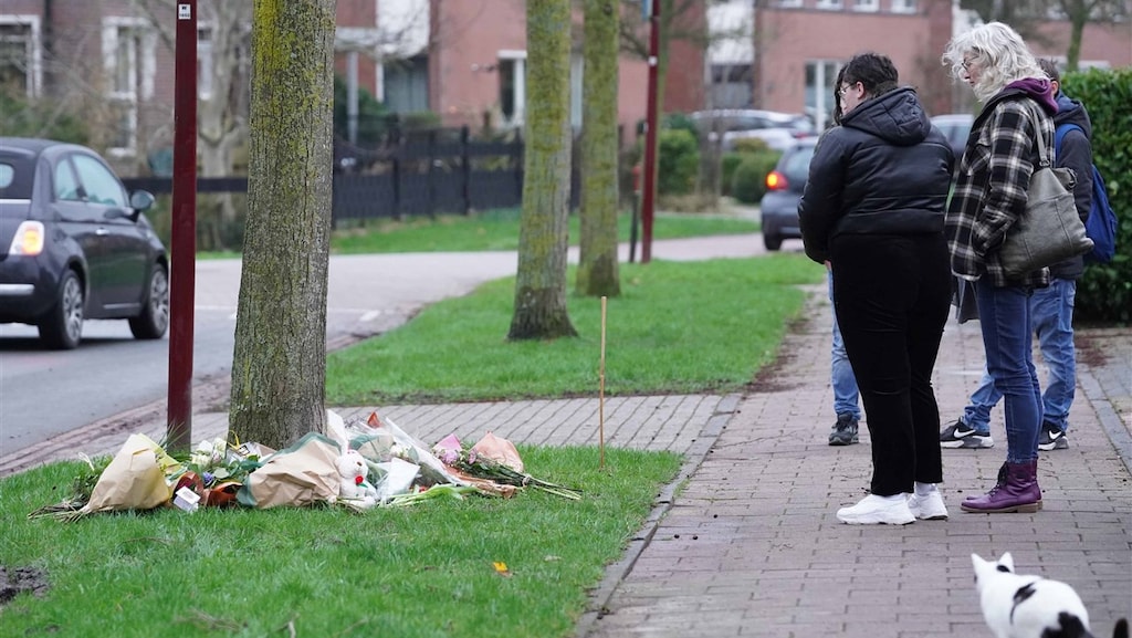 Rechtszaak over doodsteken Jet (17) stilgelegd om huilende verdachte