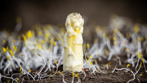 Vanaf nu zon, zon, zon! Vrijdag 22 graden in het zuiden