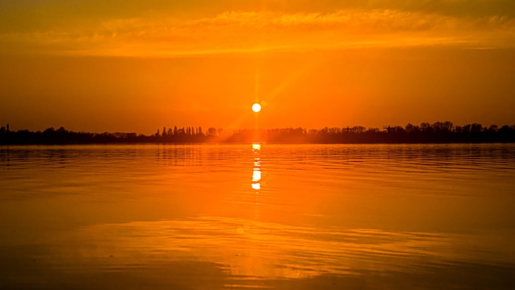 Aanhoudende droogte zorgt voor natuurbrand en hooikoortsklachten