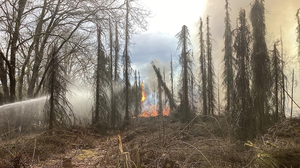 Brandweer heeft handen vol aan natuurbranden in Zeeland