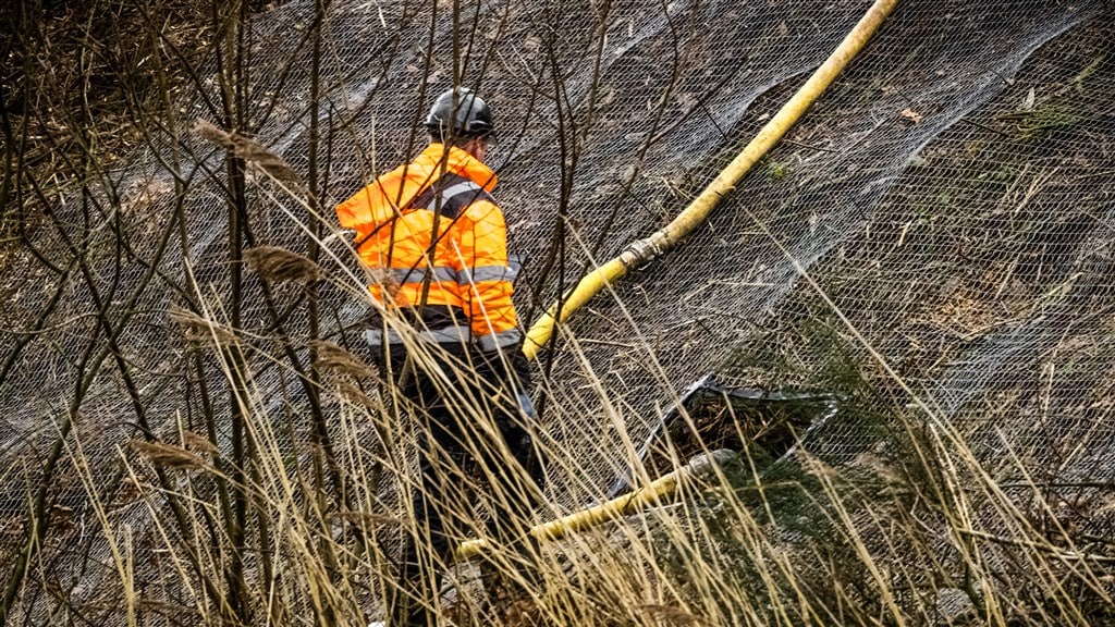 ProRail vindt honderden dassensporen bij treintrajecten en kijkt of actie nodig is