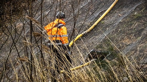 ProRail vindt honderden dassensporen bij treintrajecten en kijkt of actie nodig is