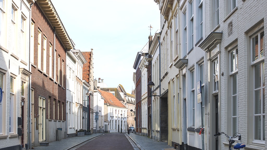 Verstening van Nederland: tekort aan groen in grote steden groeit