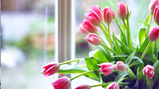 Met deze simpele truc voorkom je dat tulpen gaan hangen