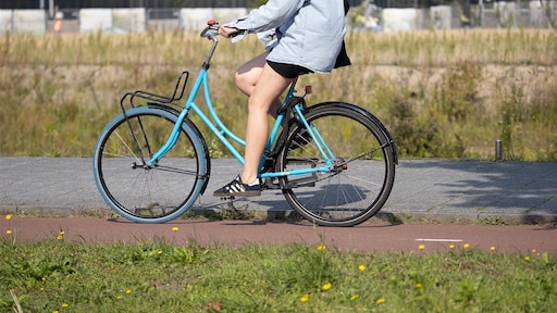 Wielrenner die zeker 30 vrouwen aanrandde veroordeeld tot twee jaar cel