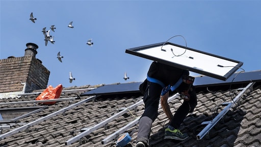 Vogelwering bij zonnepanelen om brandveiligheid niet altijd nodig: 'Bangmakerij'