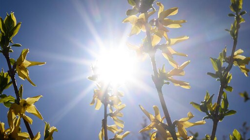 Perfect terrasweer: mogelijk warmste dag van 2025 tot nu toe