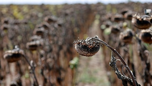 Europa is het snelst opwarmende continent op aarde, sterk contrast tussen westen en oosten