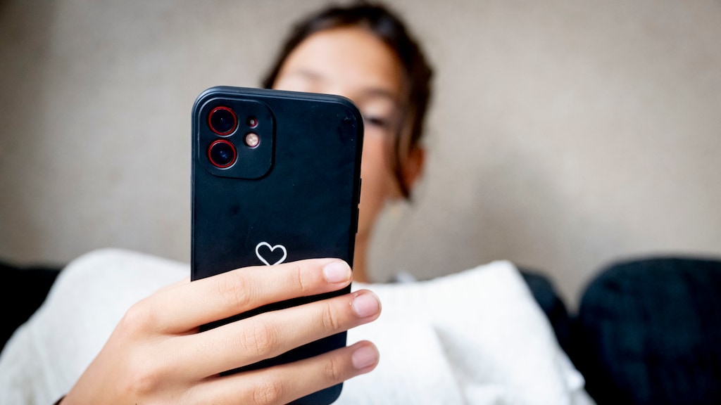 Man uit Zwolle bekent online misbruik 33 meisjes: 'Leven dochter kapot'