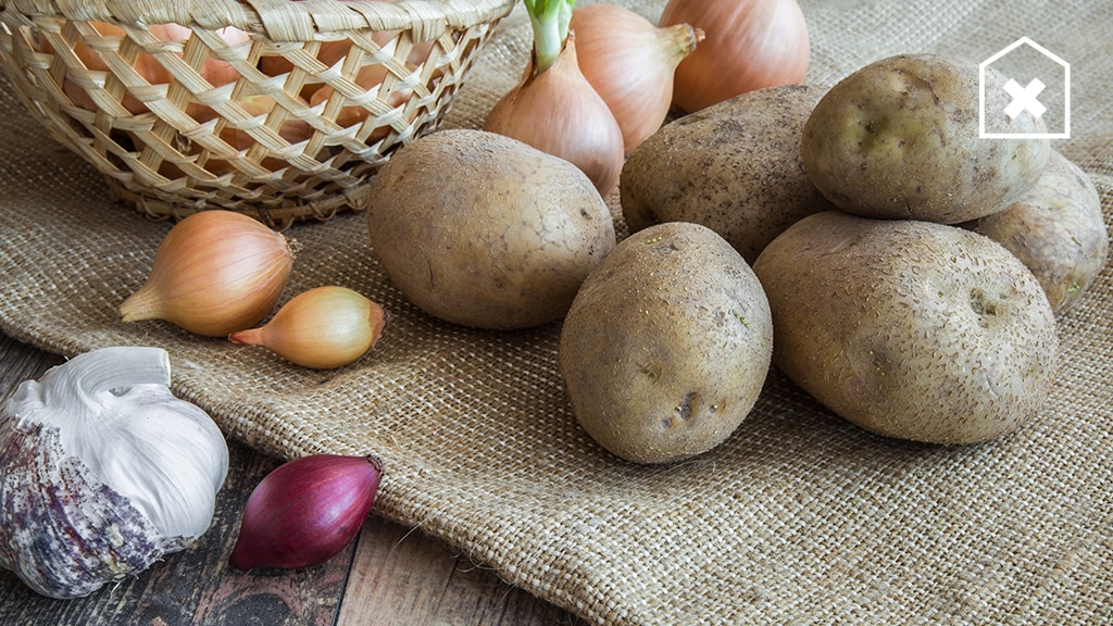 5 voedselproducten die je waarschijnlijk verkeerd bewaart