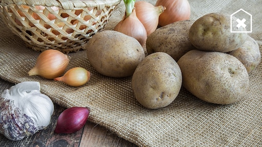 5 voedselproducten die je waarschijnlijk verkeerd bewaart