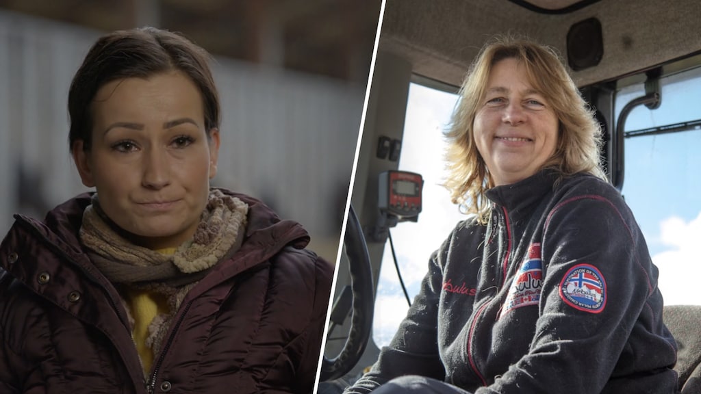 Boerin Bertie niet overtuigd van Deedry's gevoelens voor Roy in Boer zoekt vrouw: 'Waar is de blijdschap?'