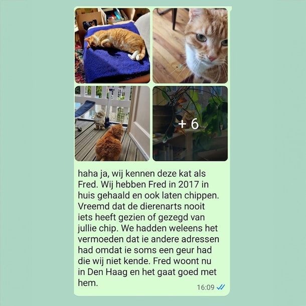 Kat Fred bleek door beide eigenaren gechipt.