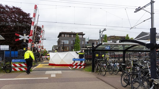 Vrouw die aan verkeerde kant slagboom stond, aangereden door trein en overleden