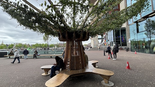 Experiment Amsterdam: 'nepbomen' tegen hittestress