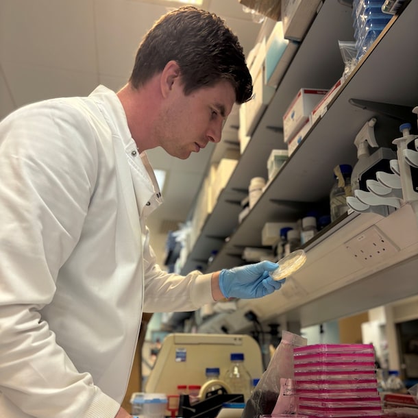 Norman in zijn laboratorium op de Universiteit van Manchester.