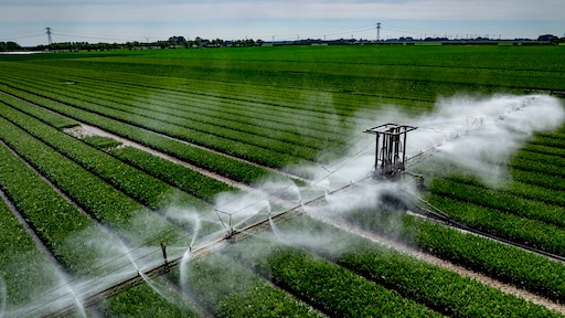 Lichte regen op komst, nauwelijks invloed op de droogte