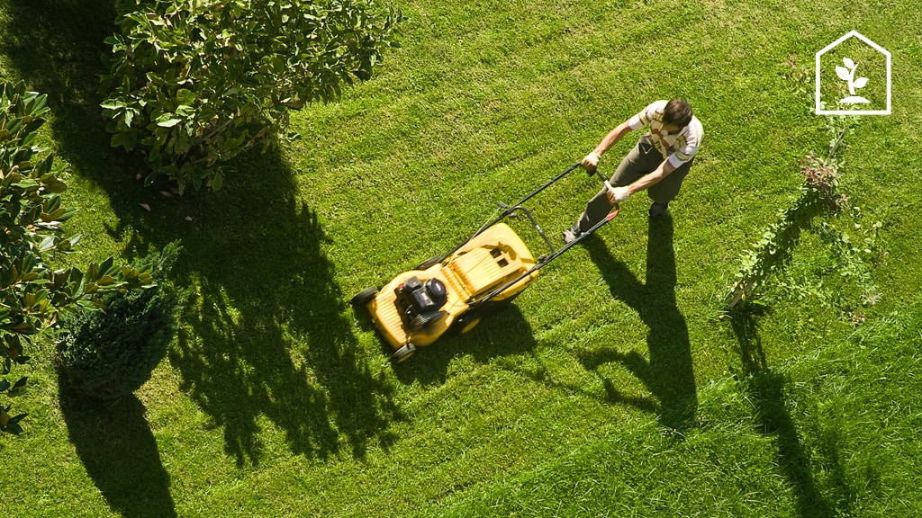 'Maai Mei Niet' wordt 'Maai Minder': in dit geval juist wel maaien