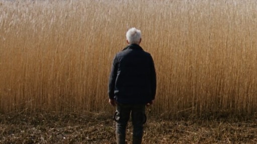 Nederlandse film Rietland maakt geen kans op Oscar