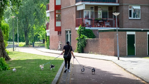 Nibud keert zich tegen bevriezen sociale huren: 'Verhogingen zijn te betalen'