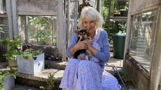 Koningin Camilla geniet van komst nieuwe 'ondeugende' asielhond