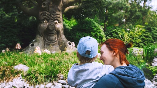 Een uitje voor asielzoekers mag, maar de Efteling gaat velen te ver