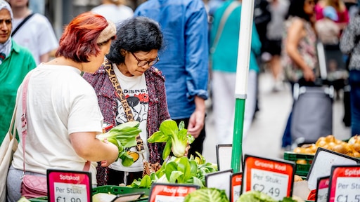 Nederlands beleid richt zich te veel op koopkracht en korte termijn, vindt IMF