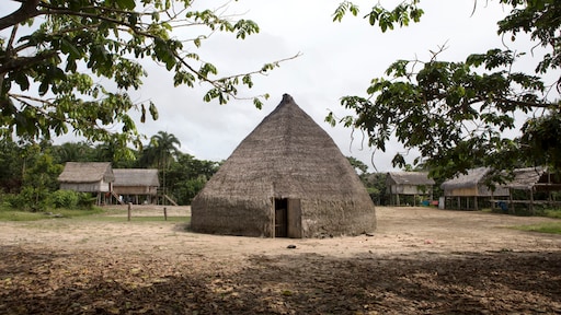 Inheemse stam klaagt New York Times en TMZ aan om claim pornoverslaving