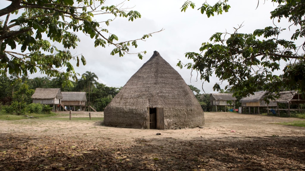 Inheemse stam klaagt New York Times en TMZ aan om claim pornoverslaving