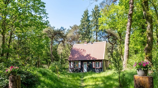 Funda-vondst: dit boshuisje lijkt regelrecht uit Hans en Grietje te komen