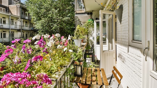 Deze kamerplanten kunnen in de lente en zomer ook naar buiten