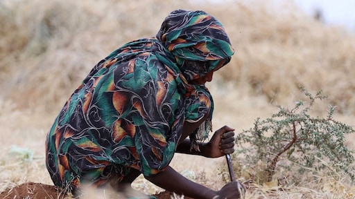 Bruut seksueel geweld in Darfur: 'Zeven mannen verkrachtten ons midden op straat'