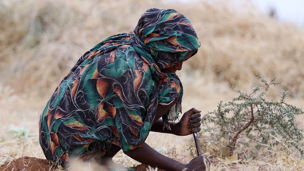 Bruut seksueel geweld in Darfur: 'Zeven mannen verkrachtten ons midden op straat'