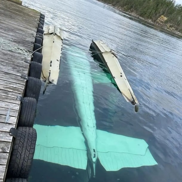 Het Cessna A185 watervliegtuig na het ongeval.