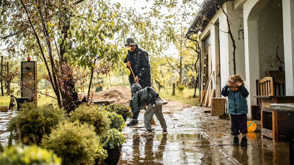 Slimme manieren om van grote regenval te profiteren tijdens droge zomers