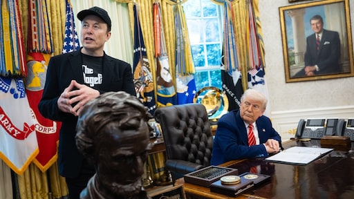 Musk haalt bericht weg over rol Trump in Epstein-schandaal