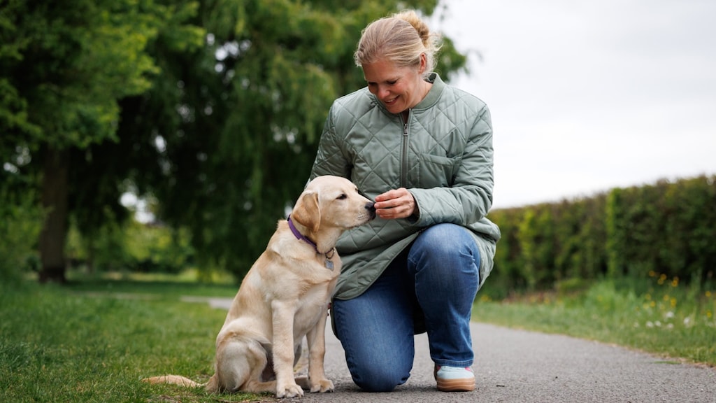 Karin van Rees kan een hulphond iedereen aanraden.