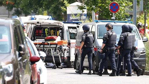 Verdachte bloedbad Oostenrijkse school 'liet afscheidsbrief achter'