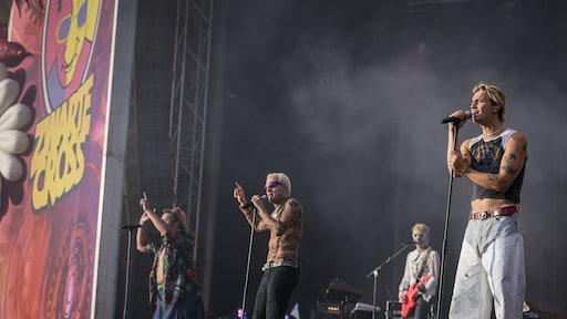 Goldband annuleert optreden op Zwarte Cross na overname door KKR