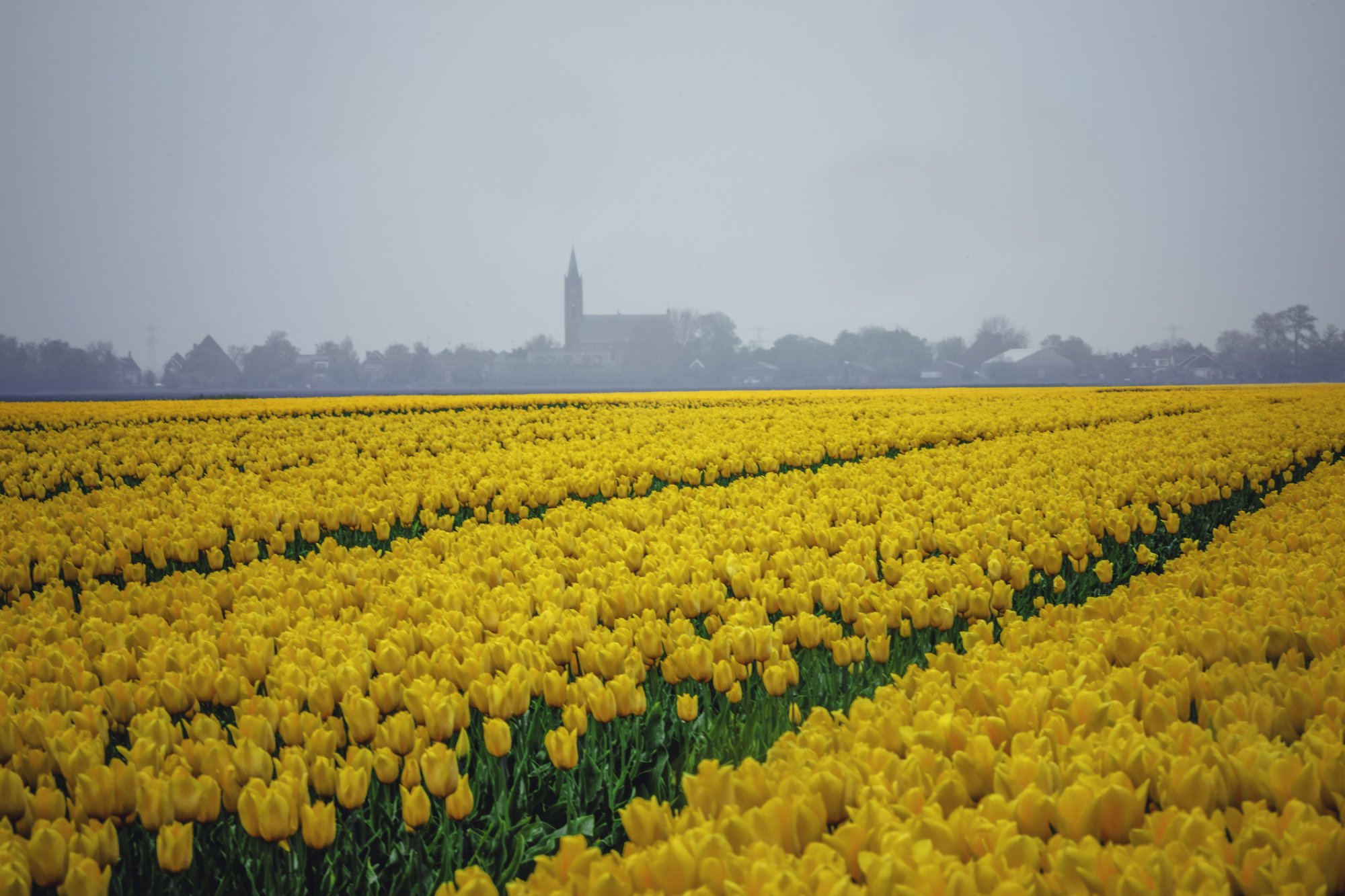 Warmte veroorzaakt smog: 'Vermijd zware inspanning'