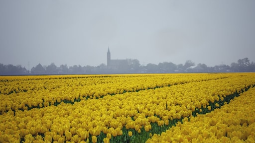Warmte veroorzaakt smog: 'Vermijd zware inspanning'