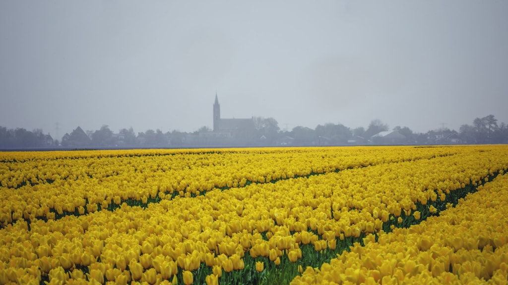 Warmte veroorzaakt smog: 'Vermijd zware inspanning'