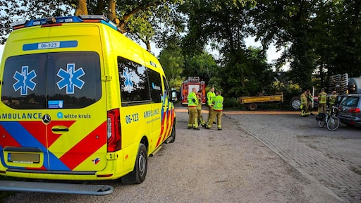 Boer uit Eerbeek bekneld onder 600 kilo zware koe