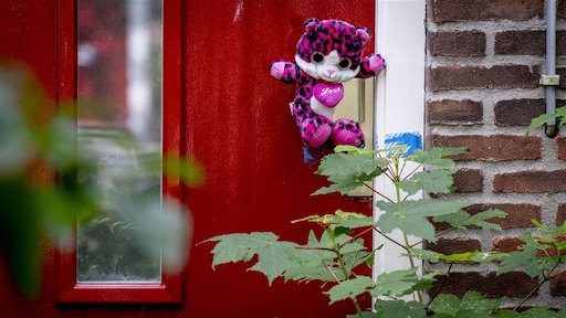 Inspectie: zorg moet beter bij jeugdzorginstelling van mishandeld Vlaardings pleegmeisje