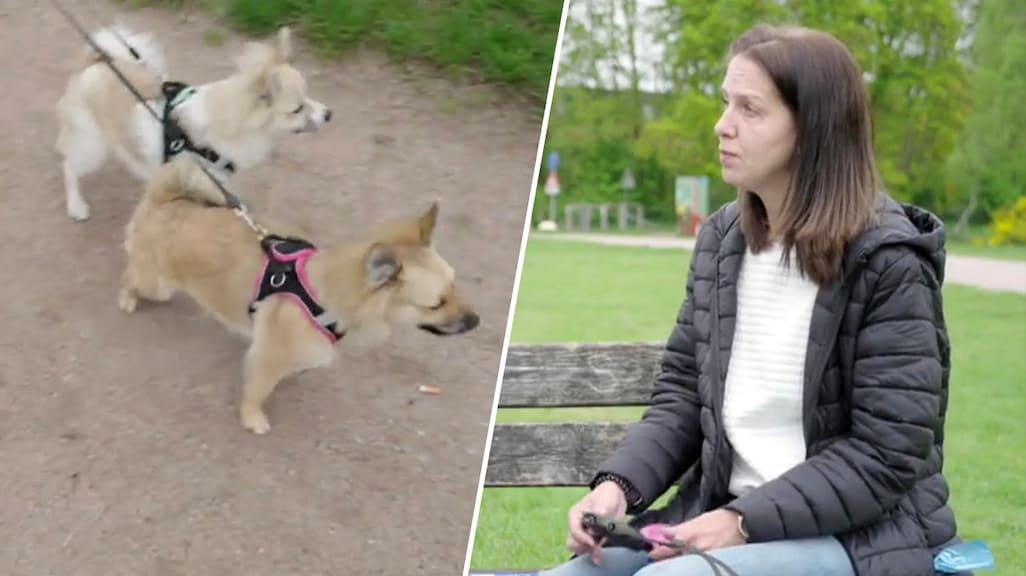 Laura opgelicht door illegale hondenhandelaar in Bureau Onrecht: 'Heel moeilijk'