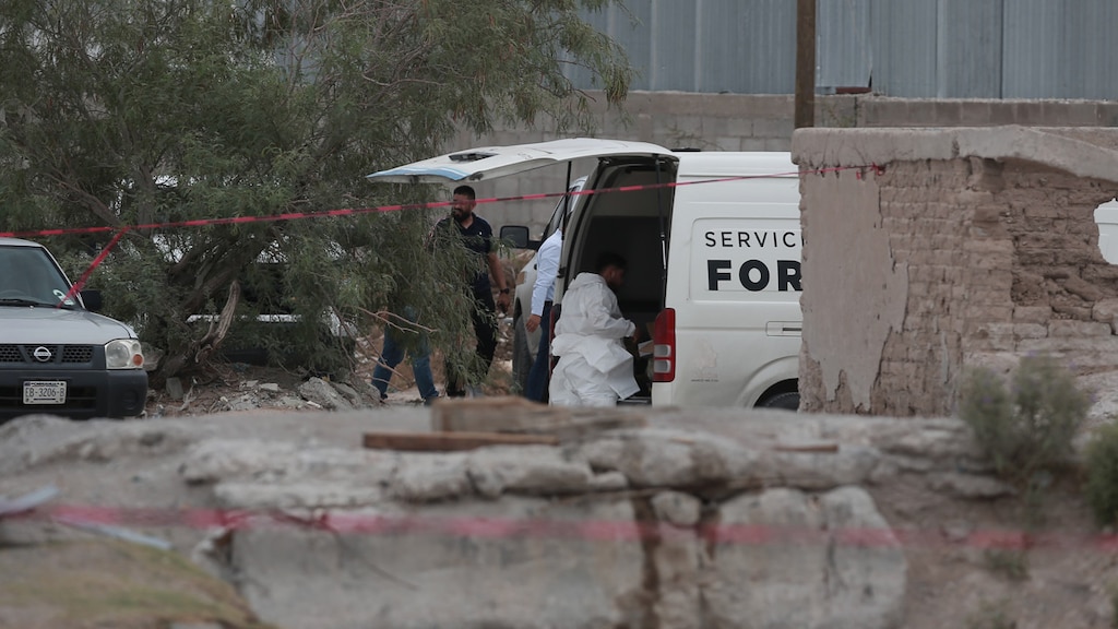 Brandweerlieden VS bij aankomst bosbrand onder vuur genomen, twee doden