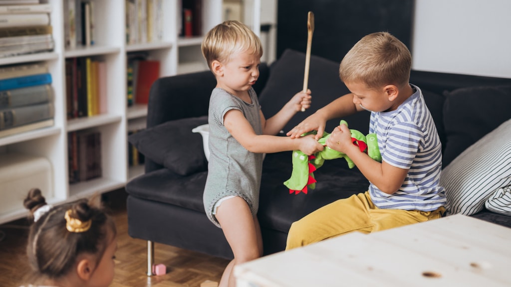 De zoontjes van Eline kunnen niet delen: 'Ze willen altijd met exact hetzelfde spelen'