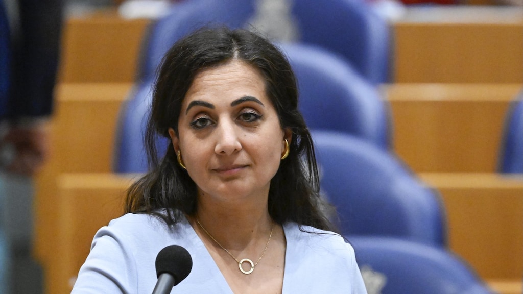 Songul Mutluer, Kamerlid GroenLinks-PvdA.